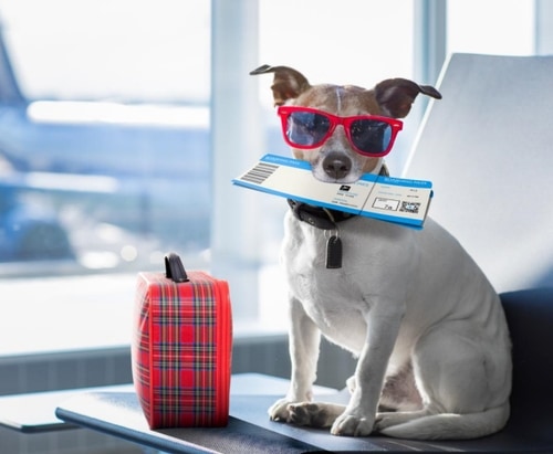 60d416c61770074dc7f681fa_im2