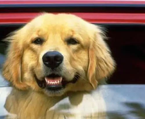 60d416de1bc1c5da9982e5a5_im3