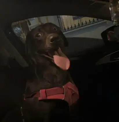 Juan Pablo Fernández